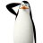 pingvinen92's profile image
