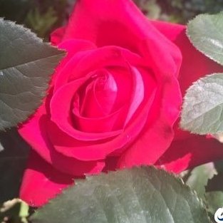 robmwhit's profile picture. Towards deep collaboration and the development of functional societal ecosystems. I believe in the beauty of the human spirit - Joy,Passion,Peace,Purpose,Love.
