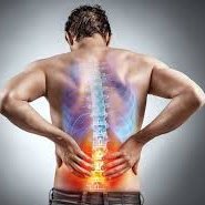 Get Rid of Chronic Back Pain and Sciatica
👉 Get Back to the Happy Healthy Life
Visit the link below to learn more 👇👇👇