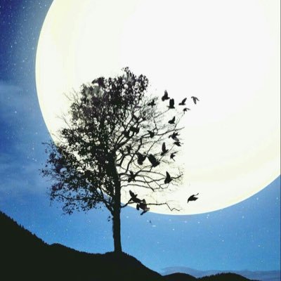 Amm_zyad's profile picture. 
