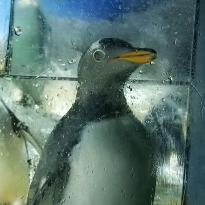 かなたさんのプロフィール画像
