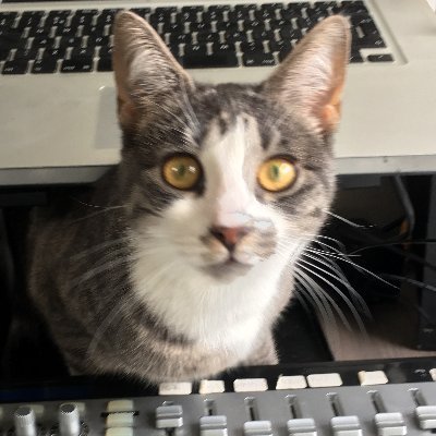 smartbit71's profile picture. 