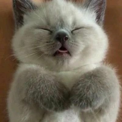 lyyyzaaacute's profile picture. strong