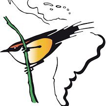 Cuenta oficial de Twitter de la Sociedad de Ornitología Neotropical - Official Twitter account of the Neotropical Ornithological Society