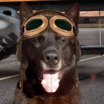 Proud to be a Ruffriderz  DangerDawg and Aviator. 'let nothing stand in your way age is just a number'