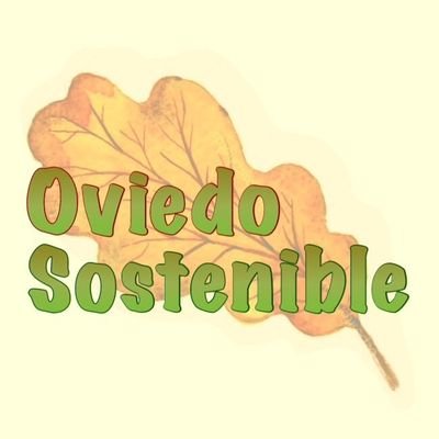 Red de iniciativas sociales por un nuevo MODELO DE CIUDAD. Veintisiete entidades y colectivos por un Concejo más Saludable, Participativo, Justo e Integrador.