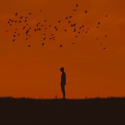 OtekiRenkler's profile picture. Çukurova Üniversitesi Biyofizik Doktora Öğrencisi