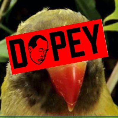This is Dopey Birds.