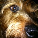 Jon Ludtke - @jonludtke - Twitter