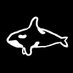 Orca Books Co-op (@orcabooks) Twitter profile photo Orca Books Co-op (@orcabooks) Twitter profile photo