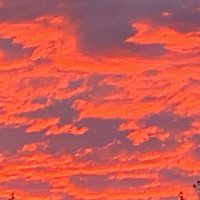 BillyBard (@billybard1) 's Twitter Profile