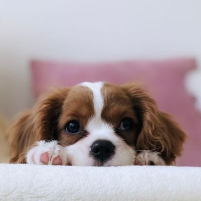 heycharlyn's profile picture. 