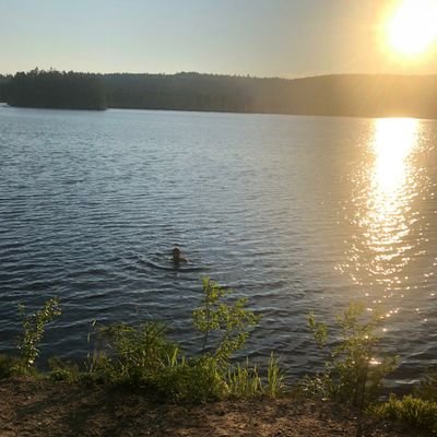 tanttrod's profile picture. ps. dds.