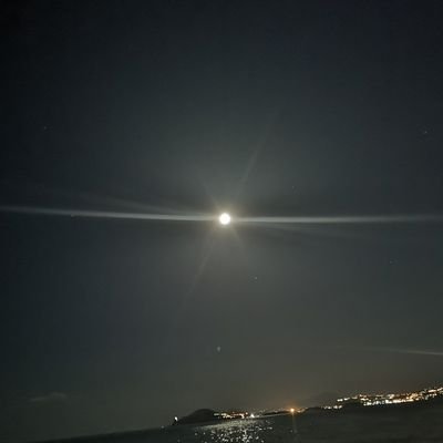 Francescokekkoh's profile picture. 