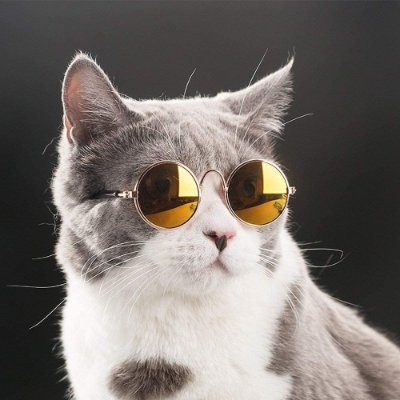 qazqer's profile picture. 