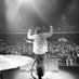 Ducking Punches (@duckingpunches) Twitter profile photo Ducking Punches (@duckingpunches) Twitter profile photo