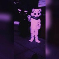 salime radi (@radisalime) 's Twitter Profile
