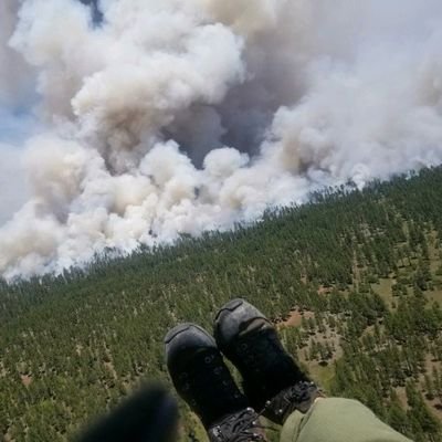 fastgirl114's profile picture. retired nurse/social wker/teacher, animal lover, quilter/fabric artist, Advocate & resister for life🌊,  Wildland Firefighters, 🚫  DMs