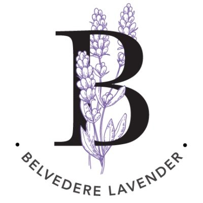 Belvedere Lavender produces locally grown lavender and a variety of lavender skincare products. 
Shop now at https://t.co/ABf8D4U1rQ