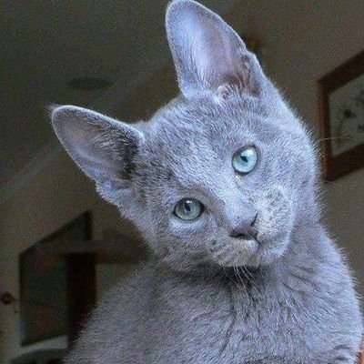 Karenwestgard21's profile picture. ☺