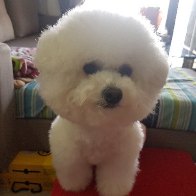 好好好