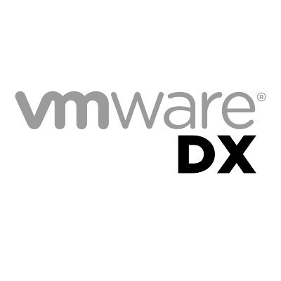 Developer Experience (DX) At VMware, Engineering Team