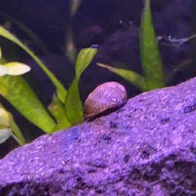 mrsandi74's profile picture. 
