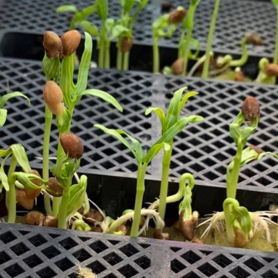 delta8k68's profile picture. 