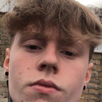 ellis williamson - @elliswi67677296 Twitter Profile Photo