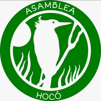 Asamblea Autoconvocada en Defensa de los Humedales y Bosque Ribereño de Hudson • Hocó

Redes 👉