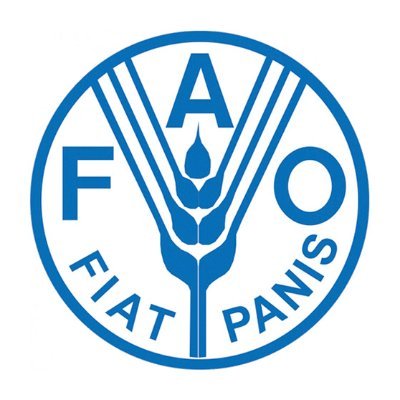 Representante Asistente - Programa
Organización de las Naciones Unidas para la Alimentación y la Agricultura - FAO