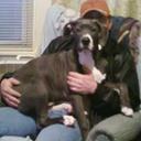 timothy casto - @timmie12 - Twitter