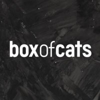 BOX OF CATS (@boxofcatsmusic) Twitter profile photo