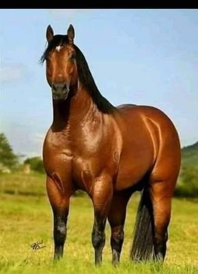 Dembele93142437's profile picture. Dembele