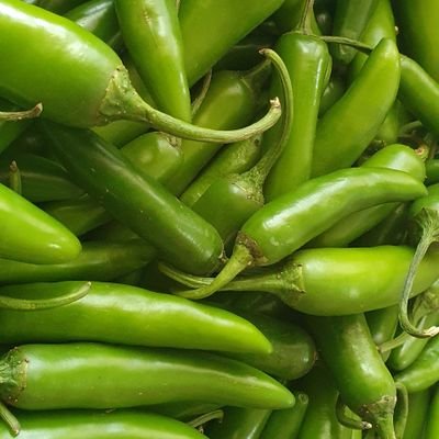 storm690126's profile picture. #𝔏𝔦𝔤𝔞𝔇𝔢𝔊𝔲𝔢𝔯𝔯𝔢𝔯𝔬𝔰
critico todo lo que no me parece sea de quien sea, filósofo de banqueta cahuama en mano