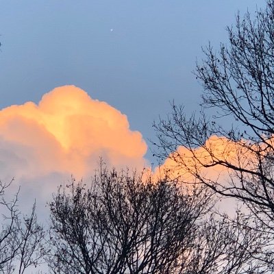 Kathryn53627949's profile picture. Clinical Psychologist, Mother, Adult Human Female. Gender Atheist. Came to see what JKR had actually tweeted, never left.💚🤍💜 🦕 💛🤍💜