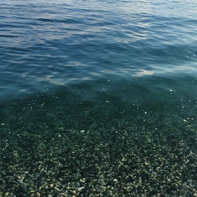 StephaLahey's profile picture. chut! 🤫 je me cache à la vue de tous.