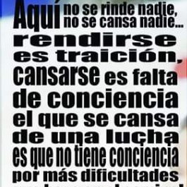 CactusVida's profile picture. #MelisaIbarra; debe estar presa por delicuente!. Soy simpatizante de un partido político, a favor de la pena de muerte, trabajadora y cuidandomé de los motines!