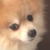 juliovide (@iamaghost0) Twitter profile photo juliovide (@iamaghost0) Twitter profile photo