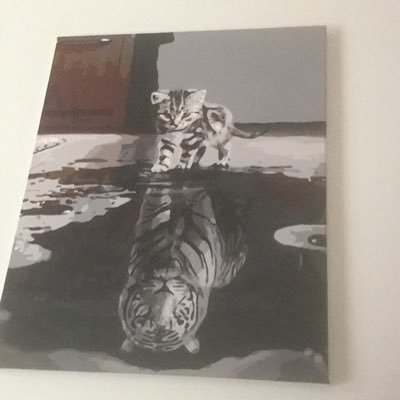 Mongoos72173413's profile picture. Serenity