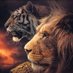llamasir560 (@llamasir560) Twitter profile photo llamasir560 (@llamasir560) Twitter profile photo