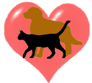 helpanimals4's profile picture. Группа энтузиастов решила создать благотворительный фонд Кто, если не мы....Начать мы решили с тех, кто не может попросить помощи сам,т.е братья наши меньшие!