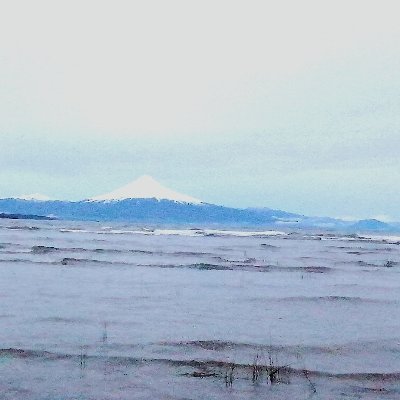 caritocarca's profile picture. 