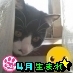 猫、レッサーパンダ、ホッキョクグマ、ヤギ、鳥類など動物好き😽/ギザぴんく!/SWAG/TETTA/なおたー/佐野⛑️岳さん/⚙/高橋⭐️祐理くん/小🌟宮🌟璃🌟央🌟くん🥰 /永島⭐️龍之介くん/相馬⭐️理くん😊 動物は↓