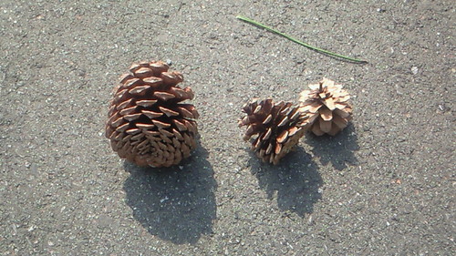 sarah_myur's profile picture. 四季 4つの季節分けとその間  のぎこのあともすふぃあー 田口の源七さんよ