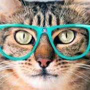 PeterT34's profile picture. 