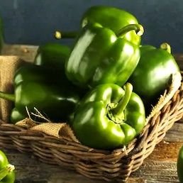 B_PepperMask's profile picture. ダビスタSwitch/ジャイアンツ/鷲崎健のヨルナイト×ヨルナイト/思春期が終わりません!!…