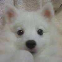風 (@marinatakako08) 's Twitter Profile