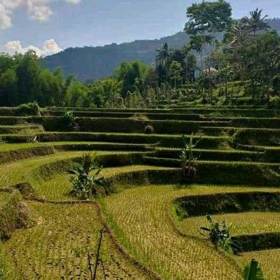 akun promote,Akun pengganti @sannybastyan69#buat hiburan#cari teman sebanyak banyaknya#suka wanita berpantat besar lebar#