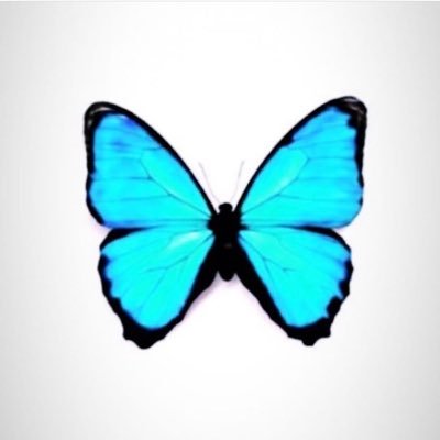 ‏لَا تَخَفْ وَلَا تَحْزَنْ ۖ إِنَّا مُنَجُّوكَ .